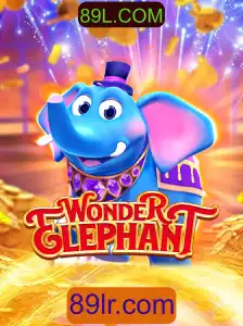 Descubra o Fascinante Mundo de WonderElephant